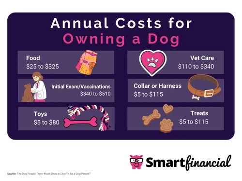 Dog at veterinary checkup in New Jersey